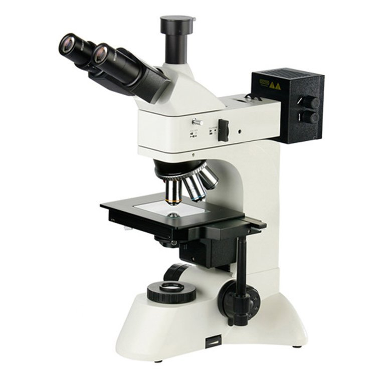 Appearance inspection equipment